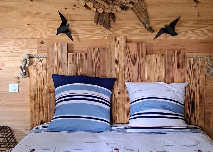 L A P Tite Medocaine